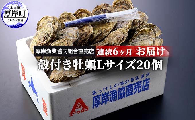 【ふるさと納税】定期便 6ヶ月 北海道 厚岸産 牡蠣 Lサイズ 20個 (各回20個×6ヶ月分,合計120個) 殻付き 生食 カキナイフ付き かき カキ　【定期便・魚貝類 生牡蠣 かき Lサイズ】