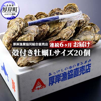 名称殻付きカキ（生食用）内容量厚岸産殻かきLサイズ20個(殻の重量を含め90g～120g未満)カキナイフ1本×6ヶ月産地北海道厚岸湾消費期限発送日含め5日賞味期限-保存方法要冷蔵10℃以下加工業者厚岸漁業協同組合直売店北海道厚岸郡厚岸町事業者厚岸漁業協同組合配送方法冷蔵配送備考※画像はイメージです。※沖縄・離島は配送不可地域となります。 ※上記のエリアからの申し込みは返礼品の手配が出来ないため、「キャンセル」または「寄附のみ」とさせていただきます。予めご了承ください。※寄附金のご入金確認の翌月以降、毎月中旬頃に計6回のお届けとなります。※出荷可能数や天候、漁獲状況により、お届け予定日が遅れる場合がございます。あらかじめご了承ください。※生ものにつき、到着後すぐにお召し上がりください。※消費期限：発送日を含め冷蔵5日目安※お届け日の指定ははできません。※出荷時期になりましたら、別途メールにてお届けについてのご案内をさせていただきます。※長期不在のご予定があれば、「お届けについてのご案内メール」に記載されているお問い合わせセンターへ返信または、お電話ください。尚、長期不在等によりお礼の品をお受取りできなかった場合、再発送はできません。お受け取りいただけないままお礼の品の消費期限が過ぎてしまった場合は、配送業者にて破棄させていただきます。 ・ふるさと納税よくある質問はこちら ・寄附申込みのキャンセル、返礼品の変更・返品はできません。あらかじめご了承ください。【ふるさと納税】定期便 6ヶ月 北海道 厚岸産 牡蠣 Lサイズ 20個 (各回20個×6ヶ月分,合計120個) 殻付き 生食 カキナイフ付き かき カキ　【定期便・魚貝類 生牡蠣 かき Lサイズ】 ☆厚岸の牡蠣を連続6ヶ月お届け致します。☆北海道厚岸名産の『かき』は徹底した品質管理により、全国で唯一通年生食可能です！豊かな自然の恵みいっぱいのおいしい『かき』をご堪能ください。便利なカキナイフ付です。 寄附金の用途について (1)保健福祉の向上に関する事業 (2)防災対策に関する事業 (3)地域産業の振興に関する事業 (4)観光振興に関する事業 (5)環境対策に関する事業 (6)教育振興に関する事業 (7)指定なし 受領証明書及びワンストップ特例申請書のお届けについて 【受領証明書】入金確認後、注文内容確認画面の【注文者情報】に記載の住所にお送りいたします。発送の時期は入金確認後1～2週間程度を目途に、お礼の特産品とは別にお送りいたします。