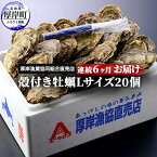 【ふるさと納税】定期便 6ヶ月 北海道 厚岸産 牡蠣 Lサイズ 20個 (各回20個×6ヶ月分,合計120個) 殻付き 生食 カキナイフ付き かき カキ　【定期便・魚貝類 生牡蠣 かき Lサイズ】