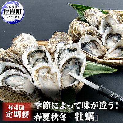 定期便 4回 季節によって味が違う！春夏秋冬「 牡蠣 」 【配送不可：沖縄・離島】　【定期便・魚貝類・生牡蠣・かき】