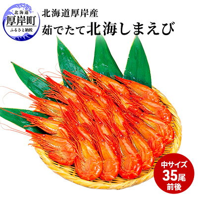 エビ 北海道 厚岸沖 茹でたて 北海しまえび（中サイズ）500g【馬場商店】[ えび 海老 しまえび 北海道産 魚介 ] お届け：2023年6月20日～7月末頃