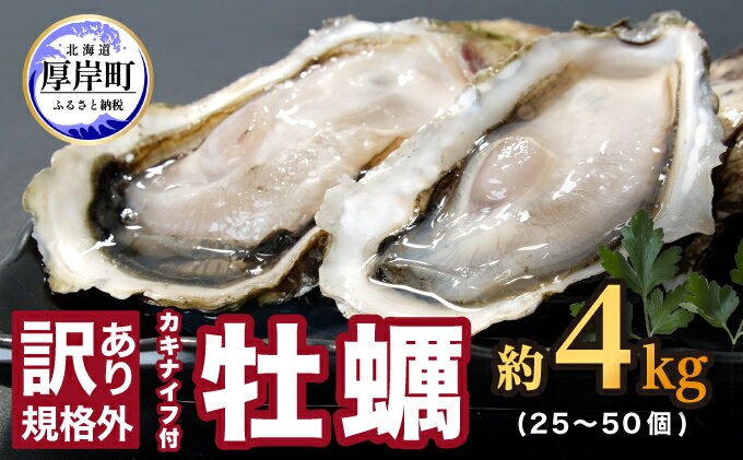 【ふるさと納税】訳あり 牡蠣 北海道厚岸産 殻付カキ 約4kg (25から50個) カキナイフ付 生食　【 生牡蠣 貝付き牡蠣 貝 海鮮 魚介類 殻付き牡蠣 】