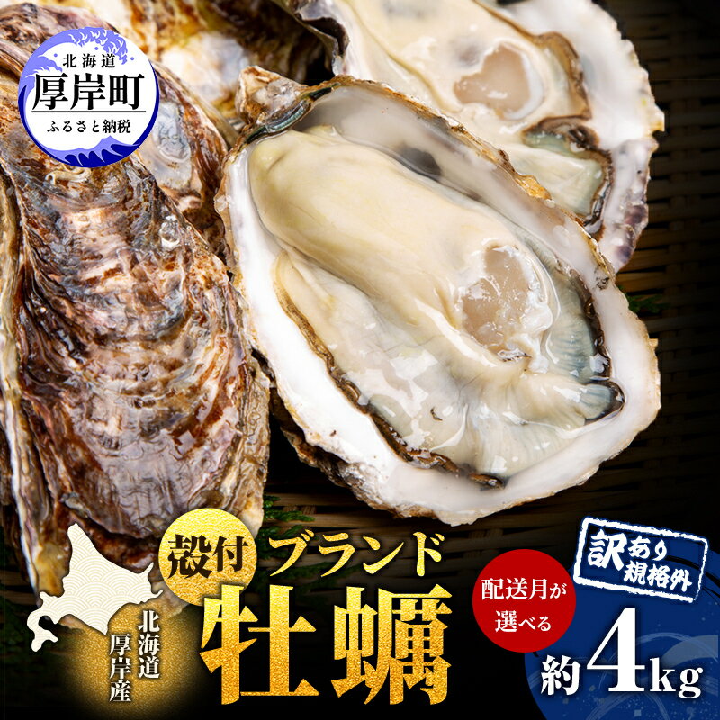 名称殻付きかき（生食用）内容量殻付カキ（マルえもん）約4kg　 カキナイフ×1本 1箱目安：25個～50個入産地厚岸海域消費期限発送日含め6日賞味期限-保存方法0℃～10℃加工業者有限会社マルユウ海楽事業者有限会社　マルユウ海楽配送方法冷蔵配送備考※画像はイメージです。 ※沖縄・離島のお届けは出来ません。 ※上記のエリアからの申し込みは返礼品の手配が出来ないため、「キャンセル」または「寄附のみ」とさせていただきます。予めご了承ください。 ※出荷時期になりましたら、別途メールにてお届けについてのご案内をさせていただきます。 ※天候、漁獲状況によりお届け予定日がずれこむ場合もございます。 ※生ものにつき、到着後すぐにお召し上がりください。 ※賞味期間：発送日を含め冷蔵6日目安 ※長期不在のご予定があれば、「お届けについてのご案内メール」に記載されているお問い合わせセンターへ返信または、お電話ください。 ※長期不在等によりお礼の品をお受取りできなかった場合、再発送はできません。 ※お礼の品の賞味期限が過ぎた場合は、破棄させていただきます。 ・ふるさと納税よくある質問はこちら ・寄附申込みのキャンセル、返礼品の変更・返品はできません。あらかじめご了承ください。【ふるさと納税】訳あり 牡蠣 北海道厚岸産 殻付カキ 約4kg (25から50個) カキナイフ付 生食　【 生牡蠣 貝付き牡蠣 貝 海鮮 魚介類 殻付き牡蠣 】 【配送不可：沖縄・離島】 厚岸の牡蠣は厚岸漁協で決められている規格があります。 全て規格に沿ってセリ販売されている物ではありますが、当社で仕入れて来た牡蠣については再度規格選別を行い、形状の良くない牡蠣については独自で当社規格外として判断しています。 成長過程で、殻の長い物、曲がってる物、小さい物、薄っぺらい物、など形が悪いものが含まれてしまいます。 これらに関しては正規品と同じ状況で育っていますので品質には問題ありません。 ただ、自然環境下で育つのでそういう個体も沢山出てきます。 生産者である漁師が大切に数年掛けて育てた牡蠣ではありますが、当社の規格にはそぐわなく、市場流通で販売することも出来なく、しかし、捨てる事なんかは絶対できないので、この場をお借りして【訳あり・規格外品】として登録させていただくことに致しました。 多くの皆様に厚岸牡蠣をお召し上がっていただく事が出来れば少しでも厚岸ファンが増えるのかも？と言う思いです。 ※規格外は見た目がバラバラなので1個単位ではなく1箱／約4kgでの提供となります。 ※目安として入り数は示しますが、必ず前後しますので予めご了承ください。 ※常に在庫があるわけではなく、あくまでも正規品が出荷される過程で選別されて出てきます。その為、規格外品が溜まったら出荷になります。 ※1箱に対しての個数の指定はできません。 ▼ こちらの関連返礼品もおすすめです ▼ 寄附金の用途について (1)保健福祉の向上に関する事業 (2)防災対策に関する事業 (3)地域産業の振興に関する事業 (4)観光振興に関する事業 (5)環境対策に関する事業 (6)教育振興に関する事業 (7)指定なし 受領証明書及びワンストップ特例申請書のお届けについて 【受領証明書】入金確認後、注文内容確認画面の【注文者情報】に記載の住所にお送りいたします。発送の時期は入金確認後1～2週間程度を目途に、お礼の特産品とは別にお送りいたします。