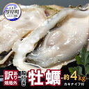【ふるさと納税】訳あり 牡蠣 北海道厚岸産 殻付カキ 約4k