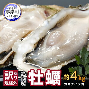 【ふるさと納税】訳あり 牡蠣 北海道厚岸産 殻付カキ 約4kg (25から50個) カキナイフ付 生食　【 生牡蠣 貝付き牡蠣 貝 海鮮 魚介類 殻付き牡蠣 】