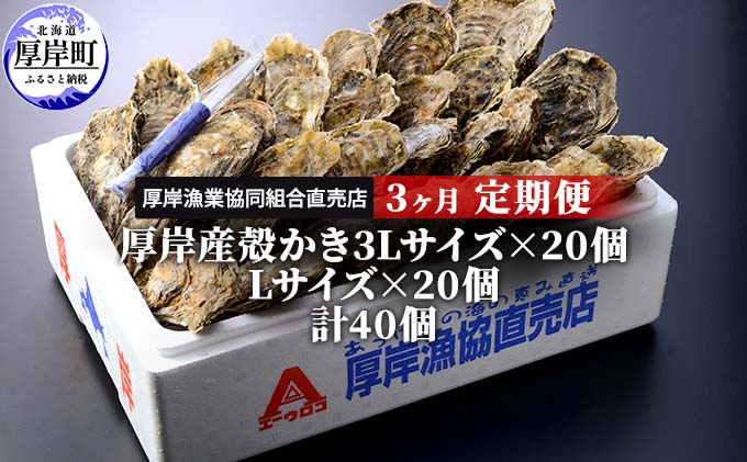 【ふるさと納税】定期便 3ヶ月 北海道 厚岸産 牡蠣 3L 20個 と L 20個 ひと月あたり40個お届け (各回40個×3ヶ月分,合計120個) 殻付き 生食 かき カキ　【定期便・ 生食 生牡蠣 貝付き牡蠣 貝 海鮮 魚介類 】