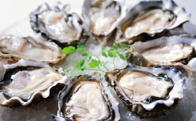 �ڤդ뤵��Ǽ�ǡ������ 6���� �̳�ƻ ���߻� ���� 3L 20�� �� L 20�� �Ҥȷ����40�Ĥ��Ϥ� (�Ʋ�40�ġ�6����ʬ,���240��) ���դ� ���� ���� ���� ������ ������