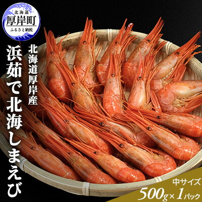 先行予約 季節限定 北海道 厚岸産 浜茹で 北海しまえび（中サイズ）500g×1パック　【海老・エビ・しまえび・えび】　お届け：2024年6月20日～7月31日まで