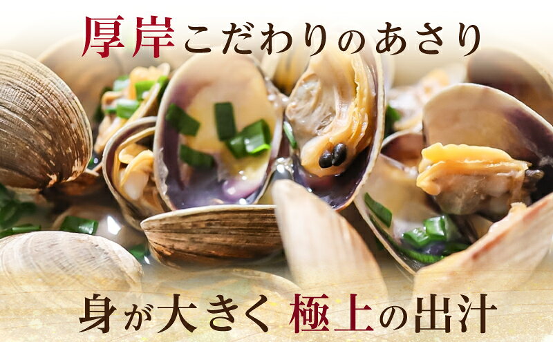 【ふるさと納税】あさり 簡単 お手軽 北海道 厚岸産 ボイル 冷凍 あさり 250g ×5パック (合計約1,250g) 貝 海鮮 魚介類 f016624-akkeshi-10000296 北海道厚岸町 サンプル画像3