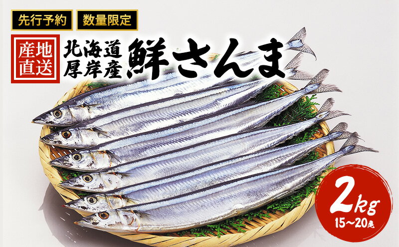 【ふるさと納税】先行予約 産地直送 北海道 厚岸産 刺身用 鮮さんま 2kg（15～20尾） サンマ 秋刀魚 さんま 鮮魚 魚介類 海産 生さんま　【さんま・秋刀魚・魚介類】　お届け：2024年9月20日～11月10日まで