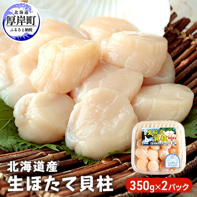 【ふるさと納税】【緊急支援品】【中国禁輸施策応援品】北海道産　生ほたて貝柱350g×2パック　【魚貝類・帆立・ホタテ・生ほたて貝柱・ほたて】　お届け：2023年12月1日〜20日、2024年1月9日〜8月末頃までのサムネイル