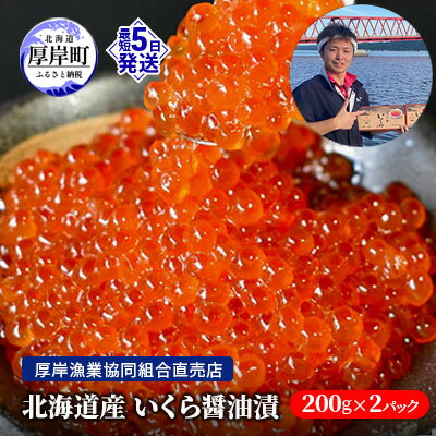 【ふるさと納税】北海道産 いくら 醤油漬け 200g×2パッ