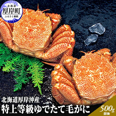 【ふるさと納税】先行予約 蟹屋厳選　北海道 厚岸沖産　特上等級 ゆでたて 毛がに (500g前後×2尾 蟹　【毛カニ・蟹・毛ガニ・毛がに・冷蔵・茹でガニ・2尾・特上・厳選】　お届け：2024年2月10日～3月末