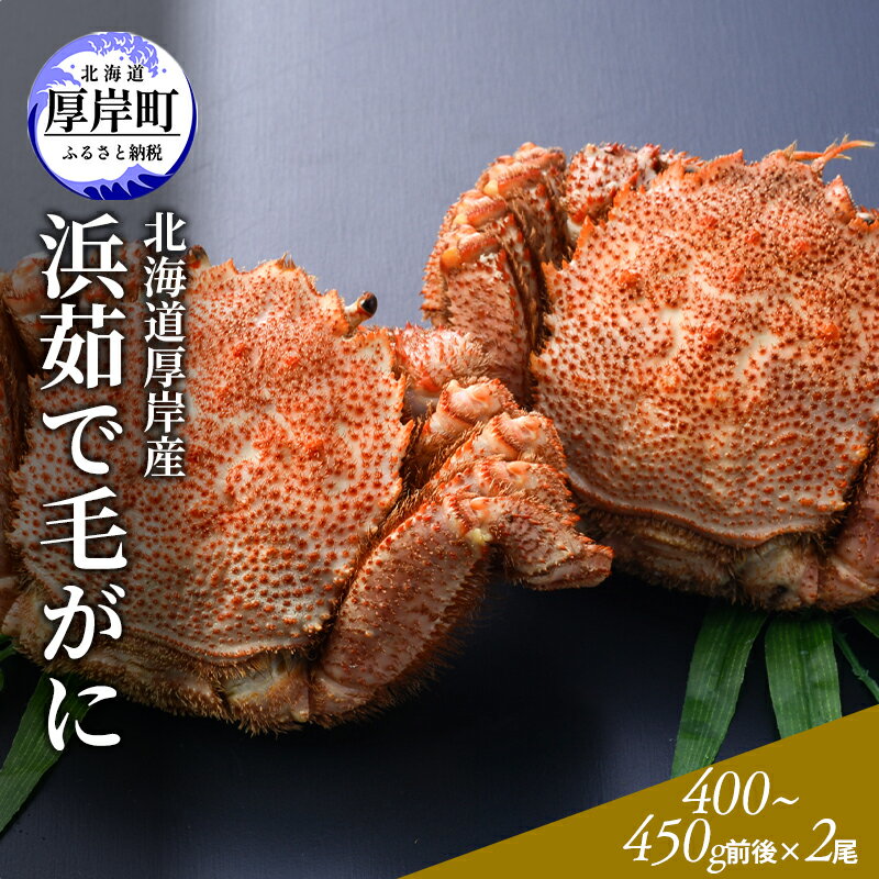 【ふるさと納税】北海道産 浜茹で 毛がに（400～450g前後）2尾　【毛カニ・蟹・毛がに・かに・カニ・魚貝類】　お届け：2024年3月～4月15日頃までのサムネイル