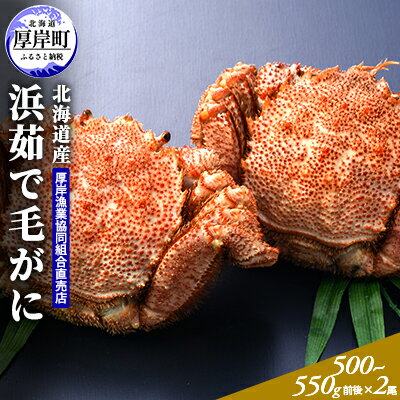 【ふるさと納税】北海道産 浜茹で 毛がに（500～550g前後）2尾　【毛カニ・蟹・毛がに・かに・カニ・魚貝類】　お届け：2024年3月～4月15日頃までのサムネイル