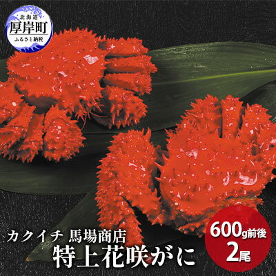 花咲ガニ 【ふるさと納税】蟹屋厳選 北海道　厚岸産 特上花咲がに 600g前後×2尾 蟹 かに　【 海の幸 海鮮 国産 北海道産 年末年始 準備 お祝い メニュー 親戚 集まり つまみ お酒 あて 急速冷凍 】