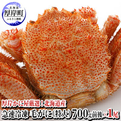 【ふるさと納税】かに屋厳選 北海道産 急速 冷凍 毛がに（特大）700g前後×1尾 蟹 かに　 海の ...