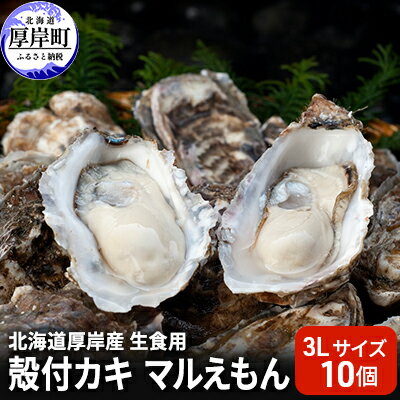 【ふるさと納税】北海道厚岸産 生食用　殻付カキ3Lサイズ10個　マルえもん　【 魚貝類 海の幸 海のミ...