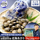 【ふるさと納税】砂出し済み! 北海道 厚岸産 北海あさり 2kgお届け (500g×4パック) 【 3ヵ月 定期便 】 (各回2kg×3ヶ月分,合計約6kg) お届け:2025年10月~2026年7月末まで