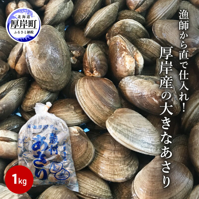 【ふるさと納税】あさり 漁師から直で仕入れ！厚岸産の大きなあさり 1.3kg　【海鮮 旨味 ミネラル豊富...