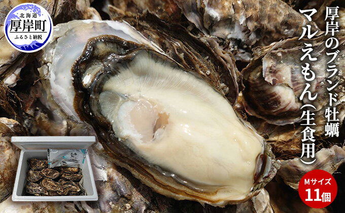 【ふるさと納税】牡蠣 厚岸のブランド牡蠣 マルえもん Mサイズ 10個 生食用 魚貝類 海鮮 海のミルク 国産 生食用殻付き牡蠣 まろやか クリーミー 食べやすい品種 海の香り 牡蠣の酒蒸し 焼き牡蠣