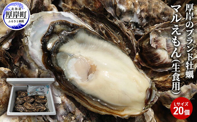 【ふるさと納税】牡蠣 厚岸のブランド牡蠣 マルえもん Lサイズ 20個 生食用 魚貝類 海鮮 海のミルク 国産 生食用殻付き牡蠣 まろやか クリーミー 食べやすい品種 海の香り 牡蠣の酒蒸し 焼き牡蠣