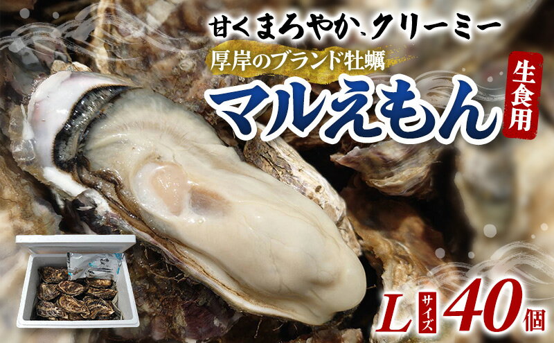 【ふるさと納税】牡蠣 厚岸のブランド牡蠣 マルえもん Lサイズ 40個 生食用 魚貝類 海鮮 海のミルク 国産 生食用殻付き牡蠣 まろやか クリーミー 食べやすい品種 海の香り 牡蠣の酒蒸し 焼き牡蠣