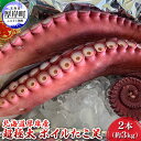 【ふるさと納税】北海道 厚岸産 超極太 ボイルたこ足 2本(約3kg) 魚介類 海鮮 海の幸 刺身 タコ焼き タコ飯 アヒージョ ミズダコ 真蛸 真空包装 急速...