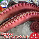 【ふるさと納税】北海道 厚岸産 極太 ボイルたこ足 2本...