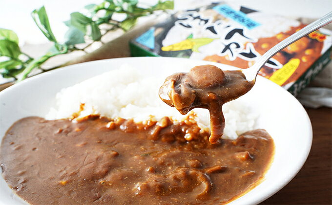 【ふるさと納税】ほたてカレー 180g×5個 (合計900g入) カレー ホタテ レトルト 加工食品 惣菜 レトルトカレー 洋食 北海道産ほたて 特製ルウ ほたての風味 旨味 海鮮カレー ランチ お昼ご飯 夕飯 夜食 手軽 簡単 f016624-akkeshi-10000570 北海道厚岸町 サンプル画像3