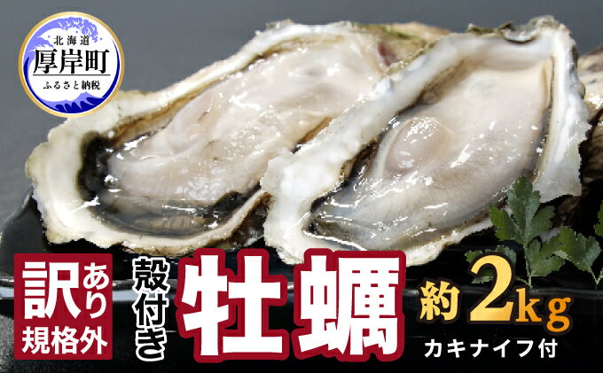 【ふるさと納税】訳あり ハーフ 規格外 牡蠣 北海道厚岸産 殻付カキ 約2kg（11～25個）カキナイフ付 生食　【 魚貝類 生牡蠣 かき 生カキ カキフライ マルえもん 訳 いびつな形 四季によって違う味わい コクがあり濃厚 】