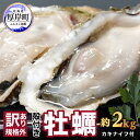 【ふるさと納税】訳あり ハーフ 規格外 牡蠣 北海道厚岸産 殻付カキ 約2kg（11～25個）カキナイフ付 生食　【 魚貝類 生牡蠣 かき 生カ..