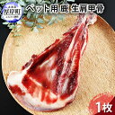 【ふるさと納税】ペット用 鹿 生肩甲骨 1枚　【 動物 ペット 鹿肉 健康 体 習慣 無添加 安心 安全 ペットフード 栄養価 動物性たんぱく質 食べやすい 骨 】