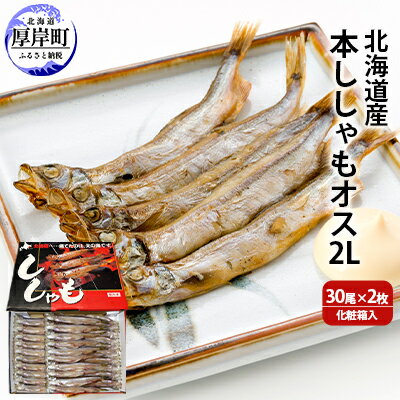 【ふるさと納税】北海道産 本ししゃも オス2Lサイズ 30尾×2枚 化粧箱入 (合計60尾入り)　【 魚貝類 海..