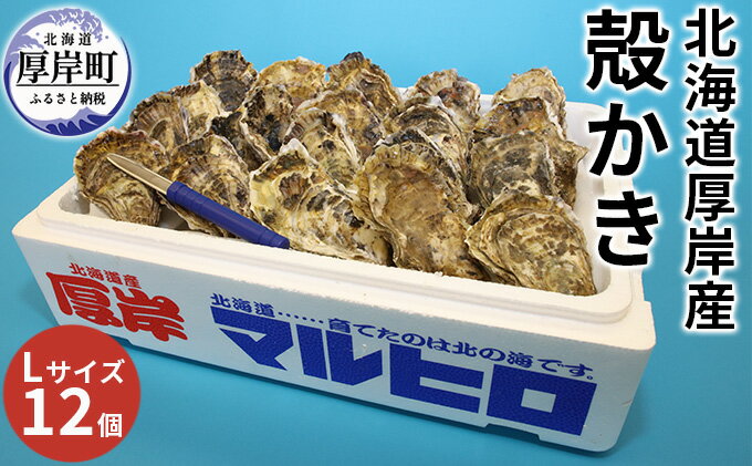 【ふるさと納税】厚岸産 殻かき L12個セット 北海道 牡蠣 カキ かき 生牡蠣 殻付　【 魚貝類 淡水 豊富 栄養 蓄え 美味しい たっぷり 大きい 】