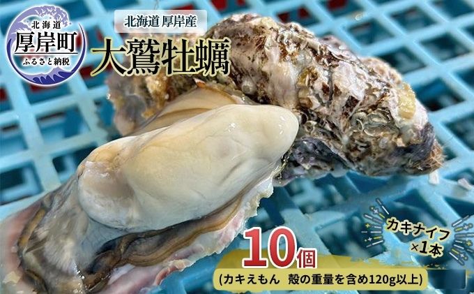 【ふるさと納税】北海道 厚岸産 大鷲牡蠣 10個　【 魚貝類 海鮮 海の幸 生牡蠣 カキえもん 生食用牡蠣 殻付かき つまみ お酒のあて 】　お届け：2023年11月～12月10日頃、2024年1月10日頃～5月末まで