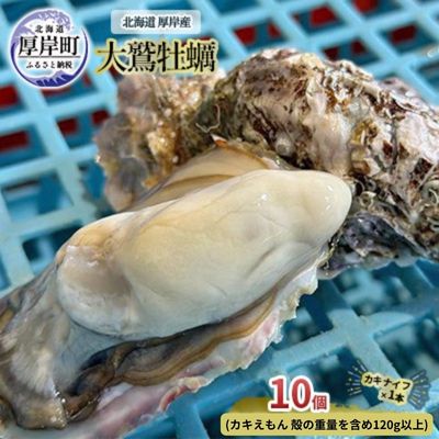 北海道 厚岸産 大鷲牡蠣 10個 [ 魚貝類 海鮮 海の幸 生牡蠣 カキえもん 生食用牡蠣 殻付かき つまみ お酒のあて ] お届け:2023年11月〜12月10日頃、2024年1月10日頃〜5月末まで