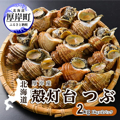 北海道 厚岸産 殻灯台 つぶ 2kg（1kg×2パック）　【 魚介類 海の幸 海産物 海鮮 貝 つぶ貝 希少 下処理不要 刺身 塩茹で お酒のあて つまみ 国産 北海道産 】　お届け：2024年4月1日～6月10日頃まで