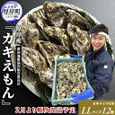 【ふるさと納税】2025年2月発送 厚岸産 ブランドかき カキえもん LLサイズ 【 魚貝類 海鮮 海の幸 生牡蠣 生食用 生食用牡蠣 オイスター 厚岸産カキえもん 殻かき 】 お届け：2025年2月1日～末まで