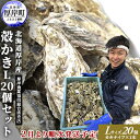 【ふるさと納税】2025年2月発送 厚岸産 殻かき L20個セット　【 魚貝類 海鮮 海の幸 生牡蠣 生食用 生食用牡蠣 オイスター 厚岸産生牡蠣 カキナイフ付 】　お届け：2025年2月1日～末まで