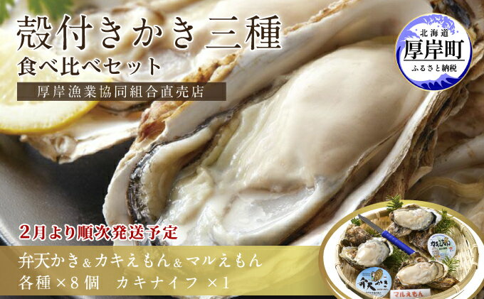 【ふるさと納税】2025年2月発送 北海道 厚岸産 殻かき三種 食べ比べ セット　【 魚貝類 海鮮 海の幸 生牡蠣 生食用 オイスター 濃厚 弁天かき カキえもん マルえもん 】　お届け：2025年2月1日～末まで