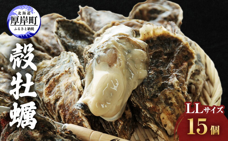 【ふるさと納税】牡蠣 厚岸産殻牡蠣 LLサイズ 15個 セット 魚介類 産地直送 生牡蠣 オイスター 海の幸 海鮮 生食用 生食用牡蠣