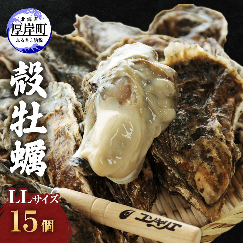 【ふるさと納税】牡蠣 厚岸産殻牡蠣 LLサイズ 15個 セット　【 魚介類 産地直送 生牡蠣 オイスター 海の幸 海鮮 生食用 生食用牡蠣 】