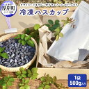 【ふるさと納税】厚岸ハスカ 冷凍ハスカップ 1袋(500g) アントシアニン スーパーフード 果実 ビタミン ミネラル 抗酸化作用 ポリフェノール 北海道産