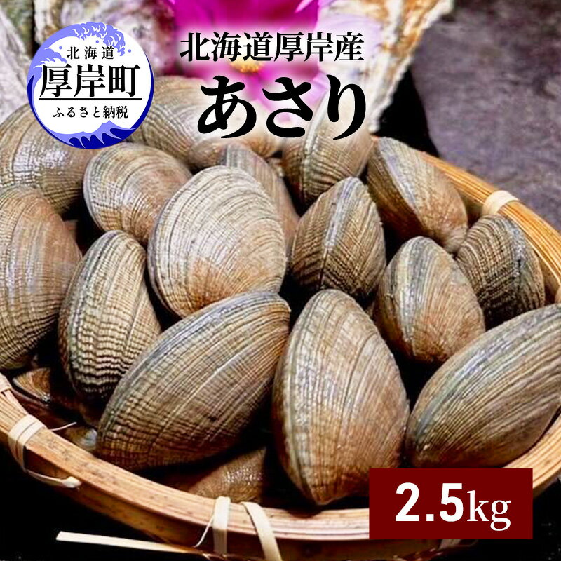 【ふるさと納税】北海道 厚岸産 あさり 2.5kg　【 海産物 海の幸 味が濃い 貝類 貝 みそ汁 酒蒸し アサリバター 食材 食べ物 パスタ 】　お届け：2024年3月下旬～6月末、2024年10月～11月末まで