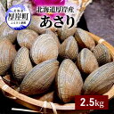 北海道 厚岸産 あさり 2.5kg　【 海産物 海の幸 味が濃い 貝類 貝 みそ汁 酒蒸し アサリバター 食材 食べ物 パスタ 】　お届け：2024年3月下旬～6月末、2024年10月～11月末まで