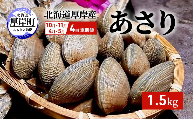 【ふるさと納税】4回お届け（10月・11月・4月・5月） 定期便 北海道 厚岸産 あさり 1.5kg 貝類 魚貝類 海鮮 旬のアサリ 北海道産アサリ 大粒 肉厚 砂抜き済み 簡単調理 産地直送 うまみ 国産 日本産