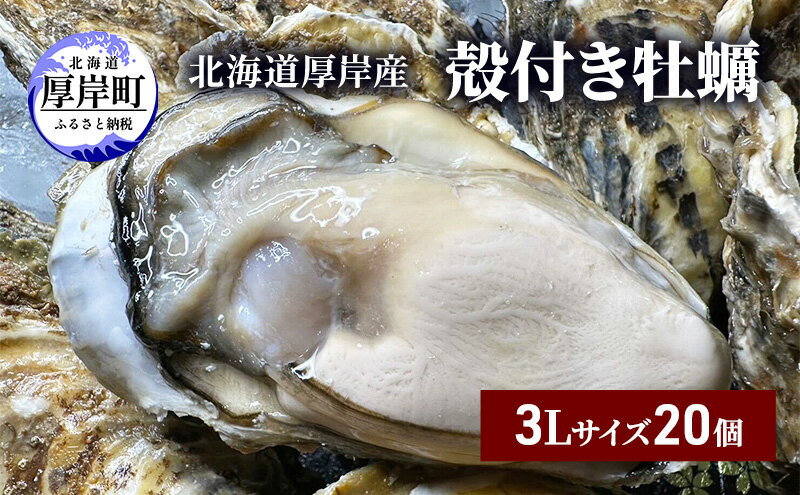 【ふるさと納税】北海道 厚岸産 殻付き 牡蠣 3Lサイズ 20個 魚貝類 生牡蠣 海鮮 海の幸 生食用牡蠣 生食用 生食用殻付き牡蠣 濃厚 甘み マルえもん オイスター