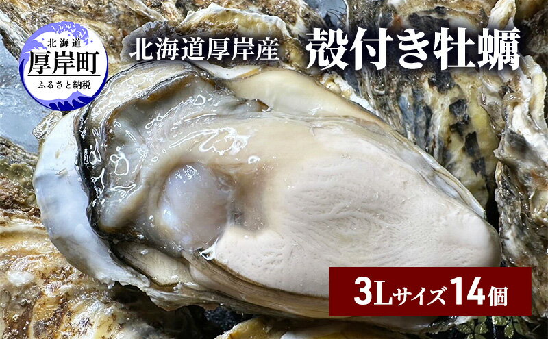 【ふるさと納税】北海道 厚岸産 殻付き 牡蠣 3Lサイズ 14個 魚貝類 生牡蠣 海鮮 海の幸 生食用牡蠣 生食用 生食用殻付き牡蠣 濃厚 甘み マルえもん オイスター
