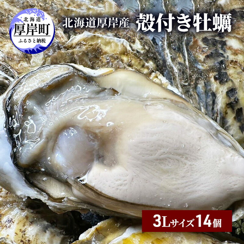 【ふるさと納税】北海道 厚岸産 殻付き 牡蠣 3Lサイズ 14個 魚貝類 生牡蠣 海鮮 海の幸 生食用牡蠣 生食用 生食用殻付き牡蠣 濃厚 甘み マルえもん オイスター